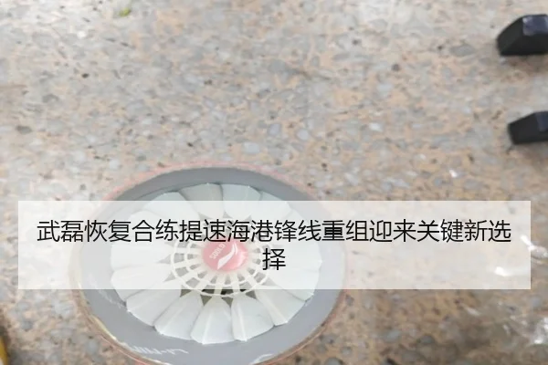 武磊恢复合练提速海港锋线重组迎来关键新选择